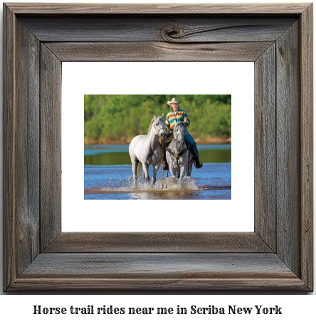 horse trail rides near me in Scriba, New York